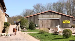 Charmante maison de vacances conviviale et familiale avec terrasse, barbecue et jardin - Image 4