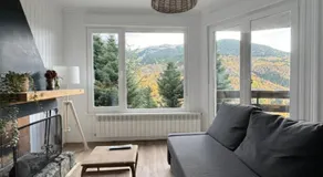 Pico Cerler - Image 2