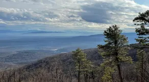 Buena Vista - Image 4