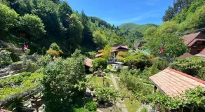 Pensiunea Mioritica - Image 5