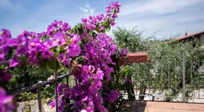 Appartamenti Caterina - Image 4