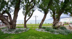 Villa Nopigia Mare - Image 4
