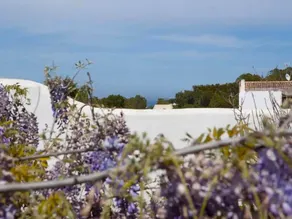 House in Porto Sale with Ibiza Views - Image 3