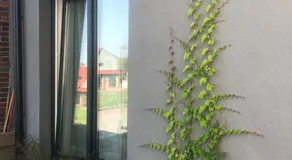 Flores Apartament - Image 2