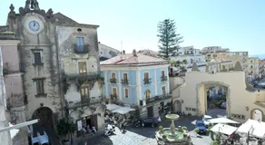 B&B Rosy - Image 4