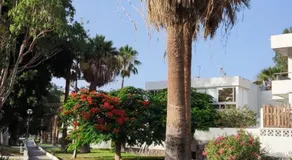 Diosa Diana - Image 5