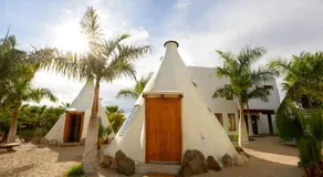 Tribu Todos Santos - Image 4
