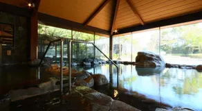 将軍の湯 久能山本陣 Liberty Resort - Image 2