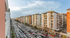 Pampas Roma - Image 3