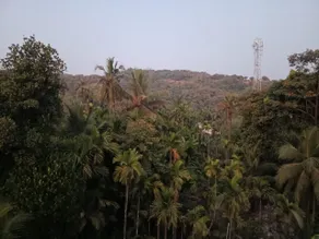 Hare Krishna Beach Resort - Image 2