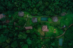 Abad Brookside Wayanad - Image 4