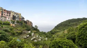 Il rustico di Silvia nelle 5 terre - Image 5