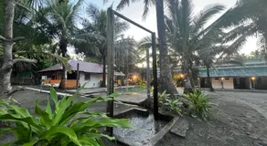 North Shore Surf Camp - Image 4