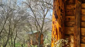 Friendship Cabin (Friendship Land) - Image 4