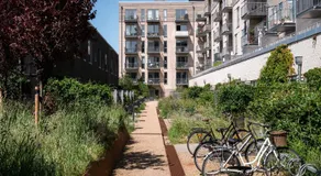 The Beach Gardens by Daniel&Jacob's - Image 4