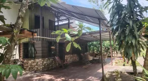 FINCA La PAZ - Jungle Retreat - Best Wildlife Spot in Sarapiqui - Image 4