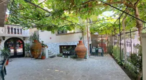 Каламанди - Image 2