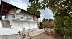 AgroPhilia - Image 5