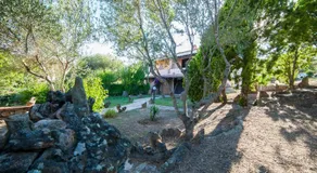 villa lilly - Image 4