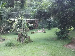 บ้านสวนนำโชคโฮมสเตย์ (Bansuannumchock homestay) - Image 3