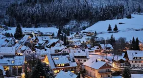 Ferienwohnung Vogelnest mit weitem Blick über den Schwarzwald - Image 5