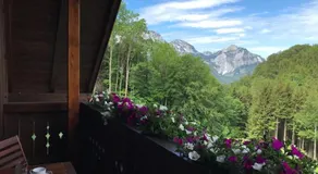 Ferienwohnung Hochsteinalm - Image 3