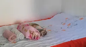 Pequena e Charmosa - Image 1