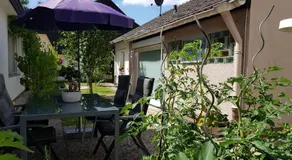 Gartenstudio Anila - Image 3