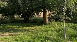 Kuschliger Schäferwagen mit Schlafsack autark auf Wiese - Image 4