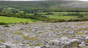 Clare View - Image 5