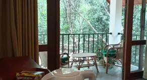 Dambulla Tree House - Image 4
