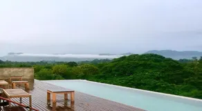 Inchantreedoopool - Image 2