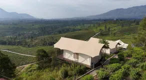 Nimo Tea Resort - Image 5