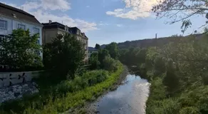 Adelin Vienna - Image 4