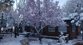 West Winds Lodge - Image 5