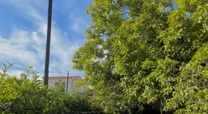 Glamping de Huerta La Arboleja - Image 3