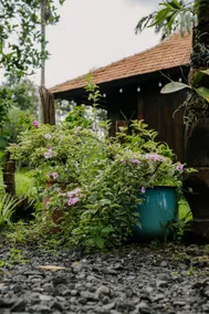 Hòa Thắng Houses - Image 5