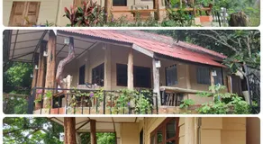 วาคุมิคาเฟ่&โฮมสเตย์ - Image 4
