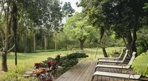 Aroundthetree Hermitage - Image 3