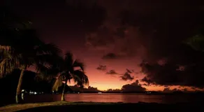PARADISE - Image 4