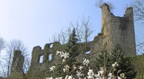 Les Dames de la Montagne - Image 3