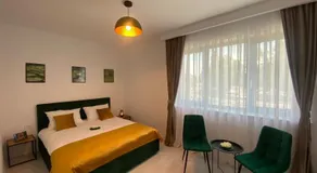 Vila Moga - Image 2