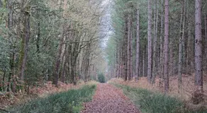 Ker Cado - Chambre d'hôtes - Image 4