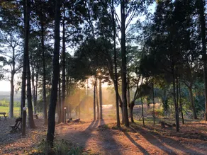 Phu Phrom Dao Farmstay - Image 4