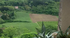 camiBB - Image 4