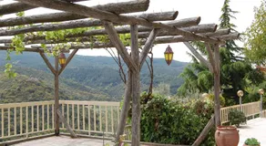 Guesthouse Zografia - Image 4