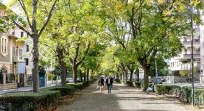 LAROS Dimora Dorica - Image 3