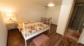Domacinstvo Cikic Zasavica - Image 2