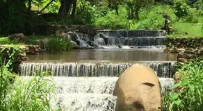 DoiLom Elephant Farmstay - Image 3