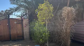 Siwa Spot - one of the best places in Siwa, with beautiful weather, pleasant sunny days, cooler peaceful nights, and a quiet oasis atmosphere perfect for rest and reflection - Image 4